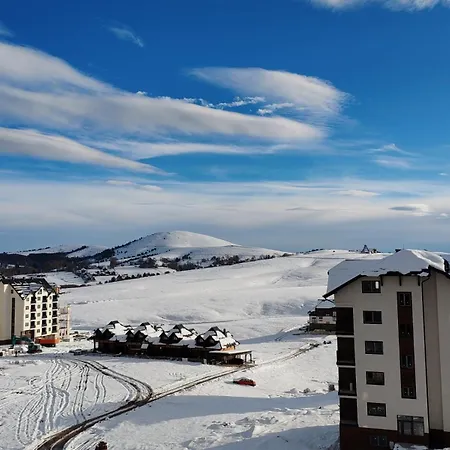 Golden Pine Daire Zlatibor